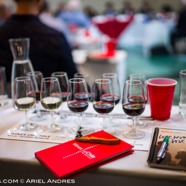 Event: 2016 Wines of Chile at the Royal Ontario Museum