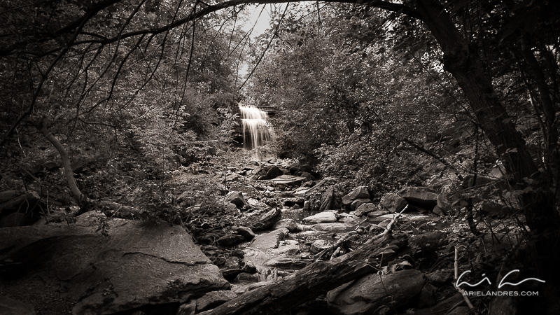 Water Down Grindstone Creek. Nikon D750, 24-120mm f4